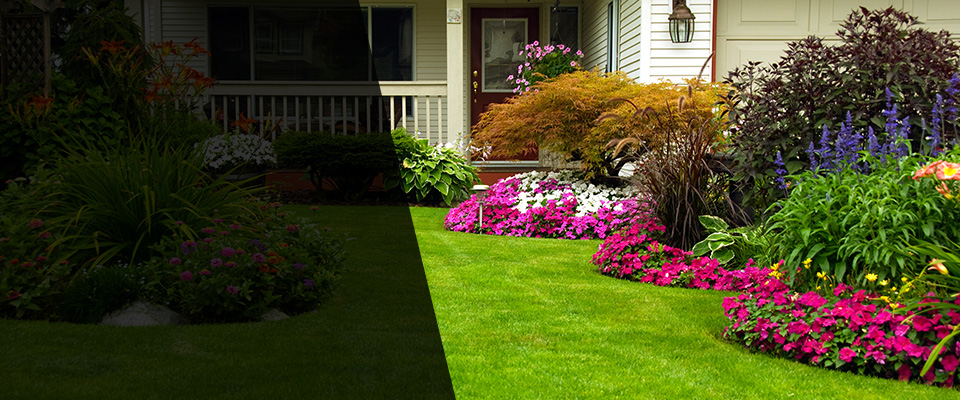 Tennille Landscapers
