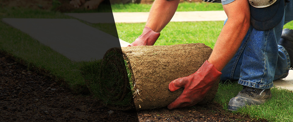 Tennille Landscapers